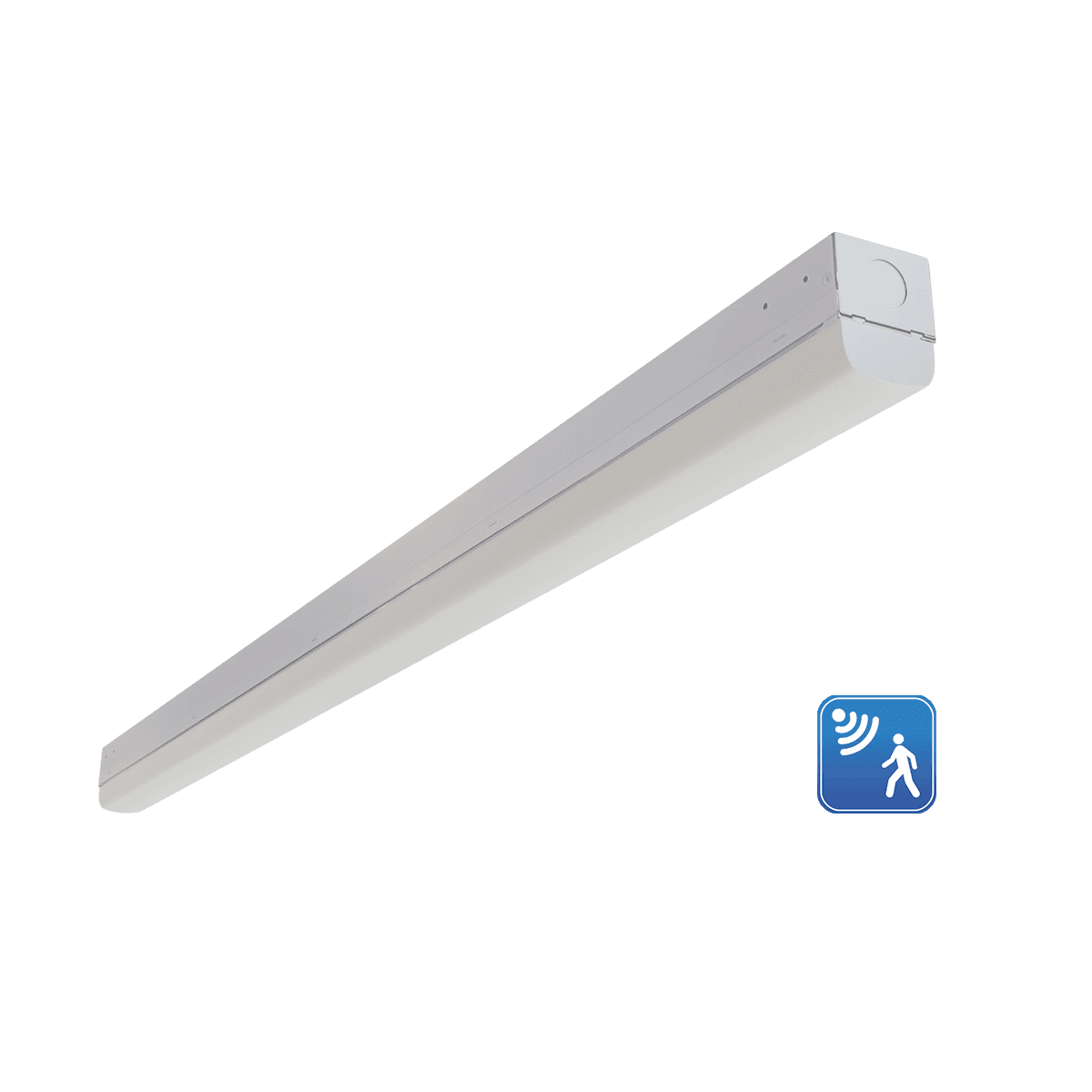 RENO-LSN4-DV-MW-MCCT-ECO-MS