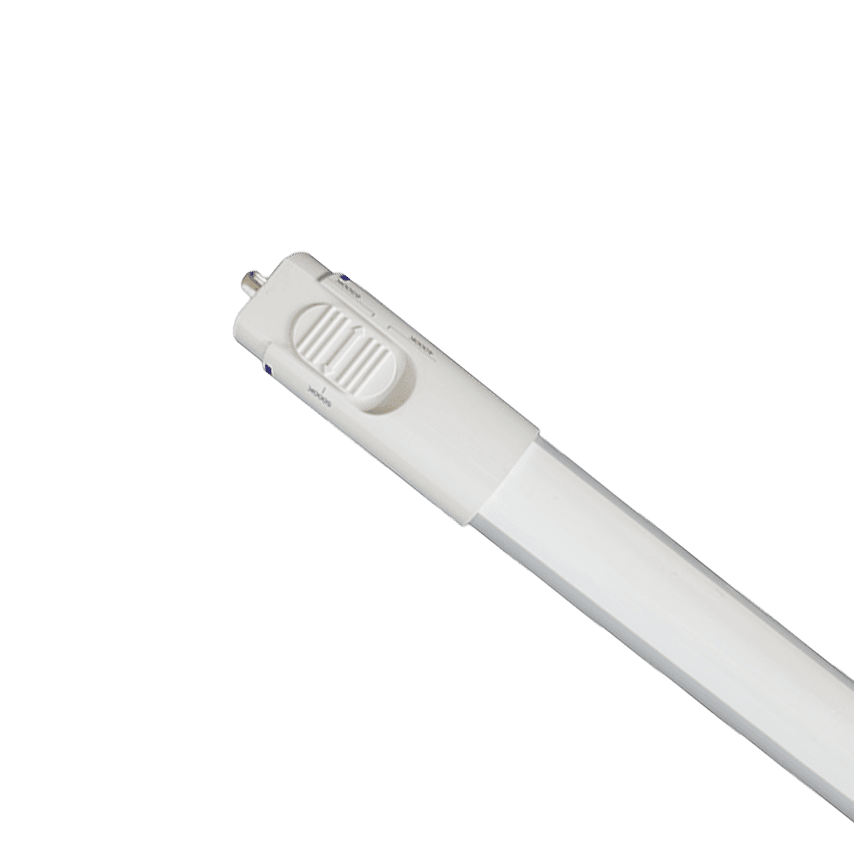 RENO-LEDT8BP-38W-MCCT-96GC(8FT)